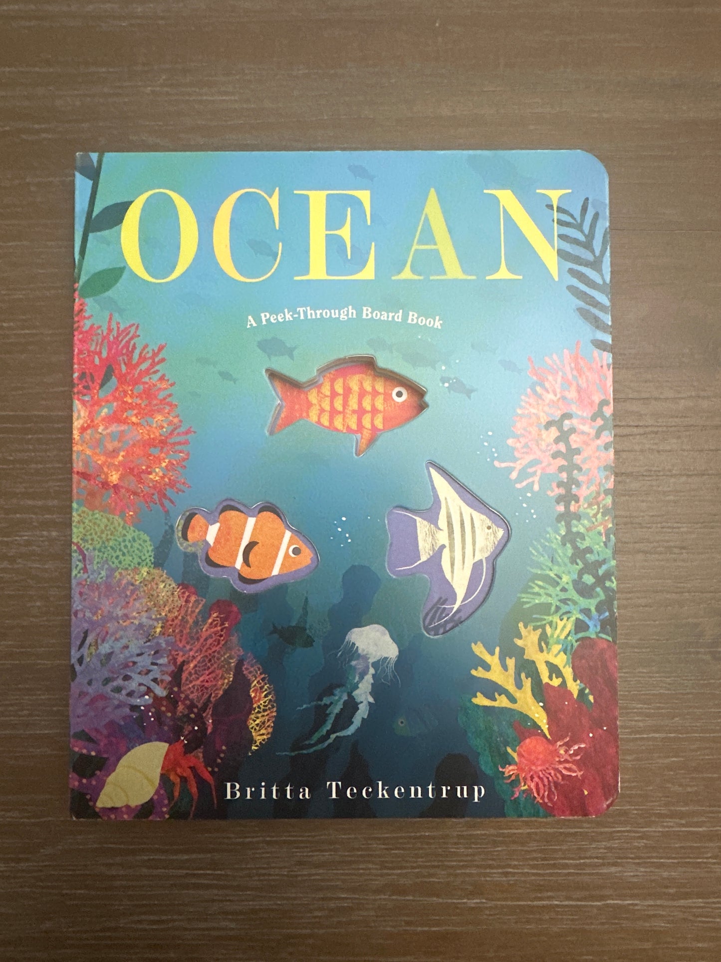 Ocean: A Peek-Through Board Book, by Britta Teckentrup