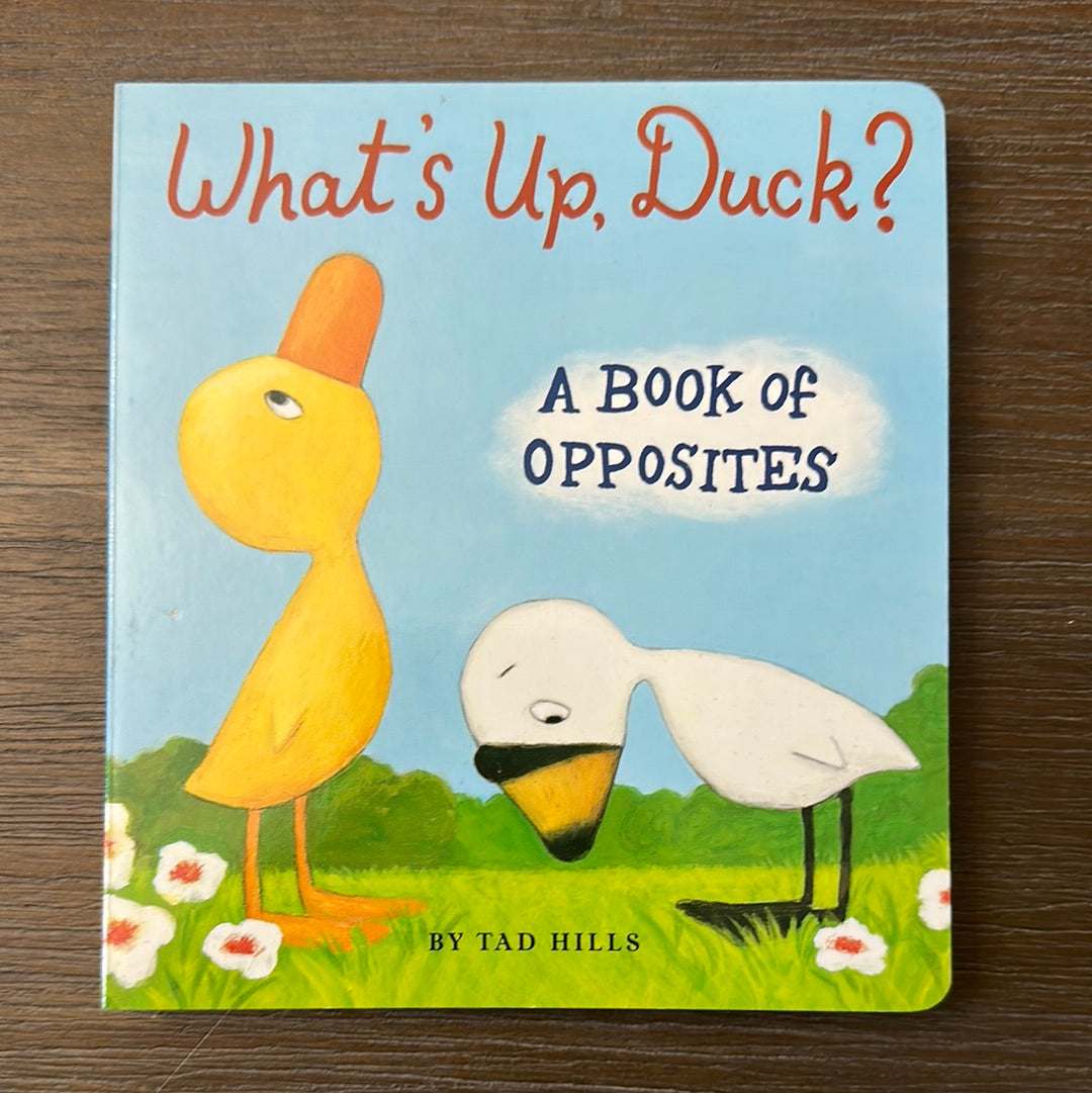 What's Up, Duck? by Tad Hills