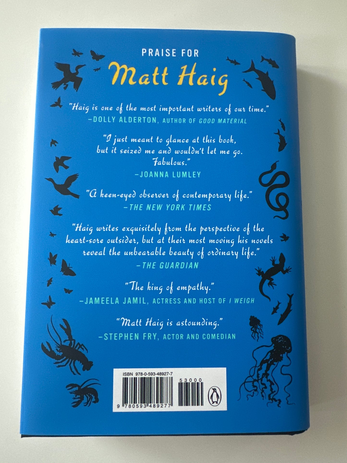 The Life Impossible, by Matt Haig