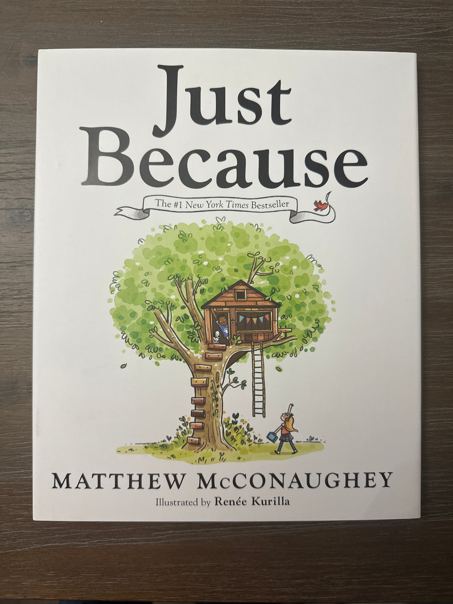 Just Because, by Matthew McConaughey