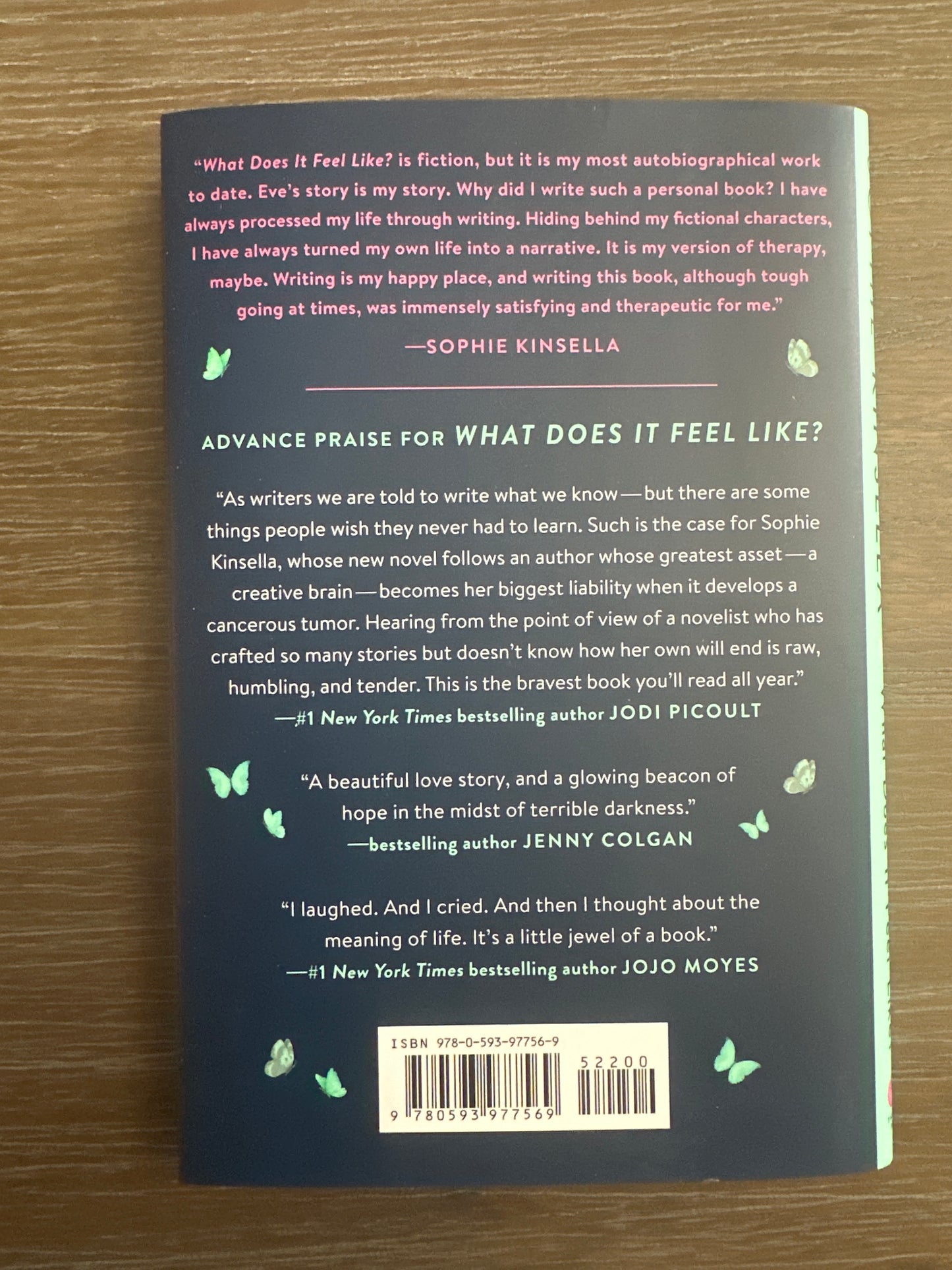What Does It Feel Like? by Sophie Kinsella