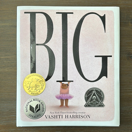 Big, by Vashti Harrison