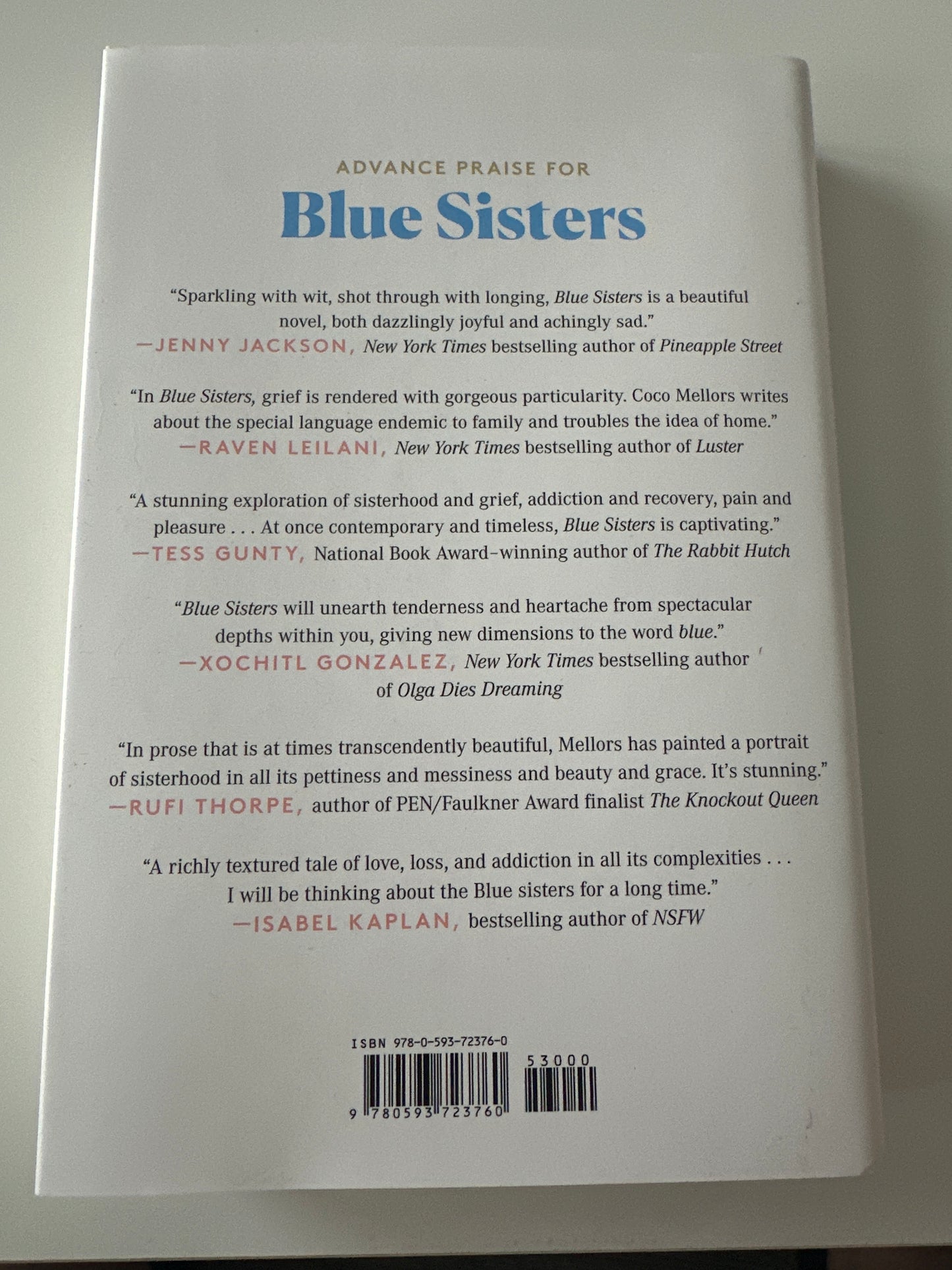 Blue Sisters, by Coco Mellors