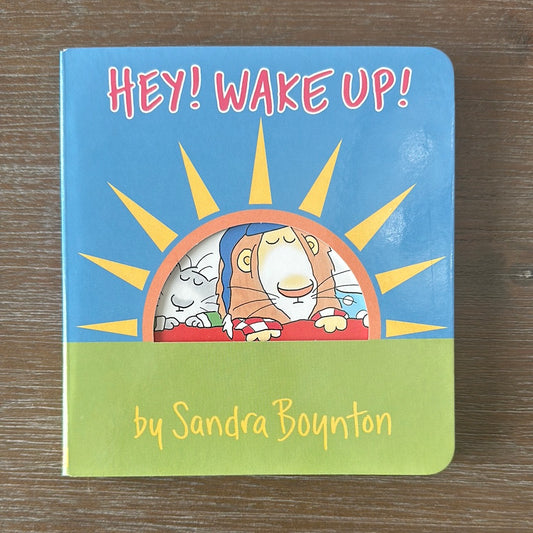 Hey! Wake up! by Sandra Boynton